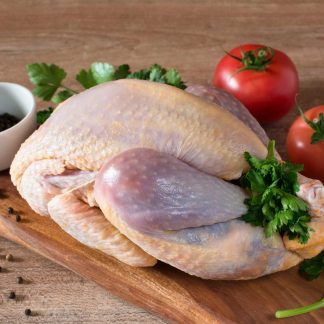 Guinea Fowl